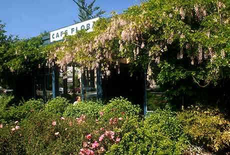 exterior of cafe flora in daylight with blooming wisteria